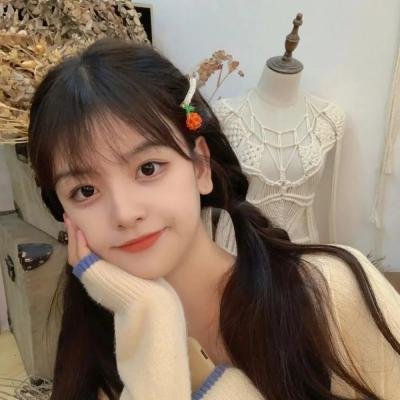 鲜花盛开的村庄